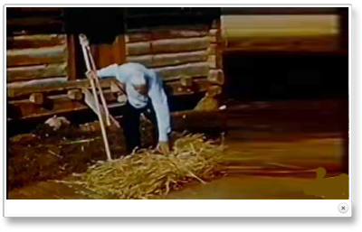 New Home In The West - Ukrainian pioneers/immigrants in Canada (1943)